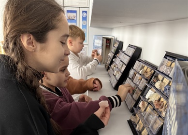 МАгниториум